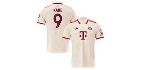 Kane reagiert auf ein umstrittenes Tor